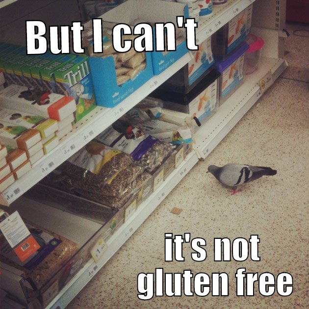 But I can't, It's not gluten free. Poor bird
