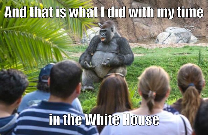 A white guy in a gorilla suit, NOT racist at all definitely NOT racist!