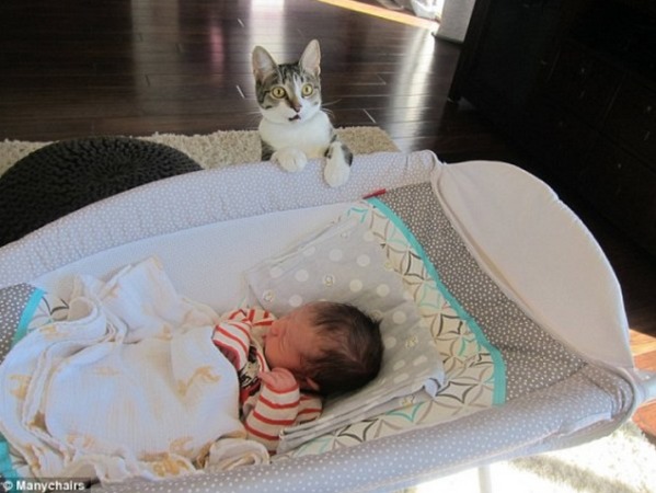 #1   There's a lot to do before having a baby--and amid all the excitement, one couple seems to have forgotten to let their kitty know that a baby was on the way. Shared pictures show the moment they brought their new bundle home--and Roxy the cat is beside herself!