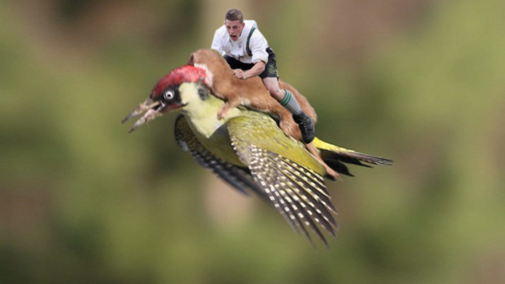 Just some guy hitchin' a ride on a weasel, that's hitchin' a ride on a bird...