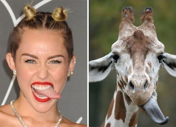 25 Hilarious Uncanny Resemblances