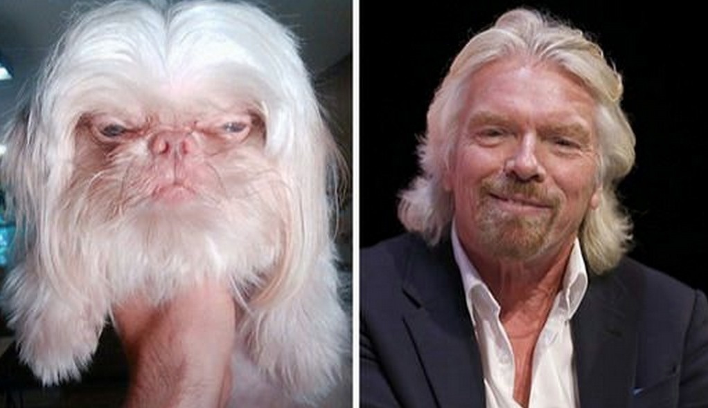 25 Hilarious Uncanny Resemblances