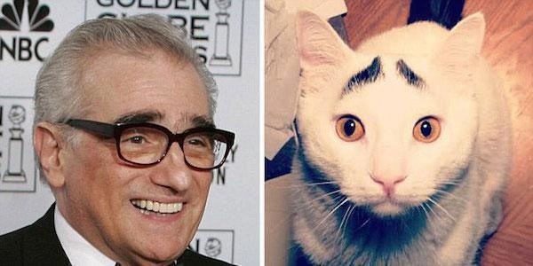 25 Hilarious Uncanny Resemblances