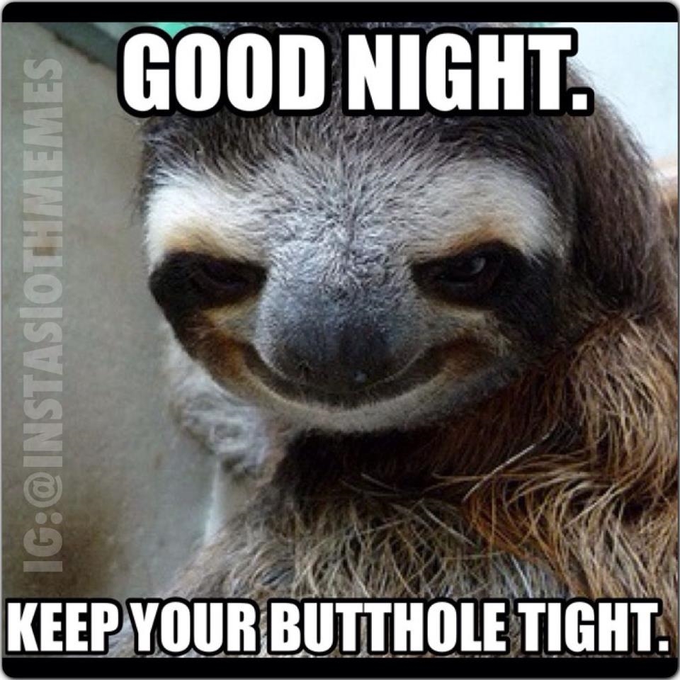 Creepy sloth wishing you a good night