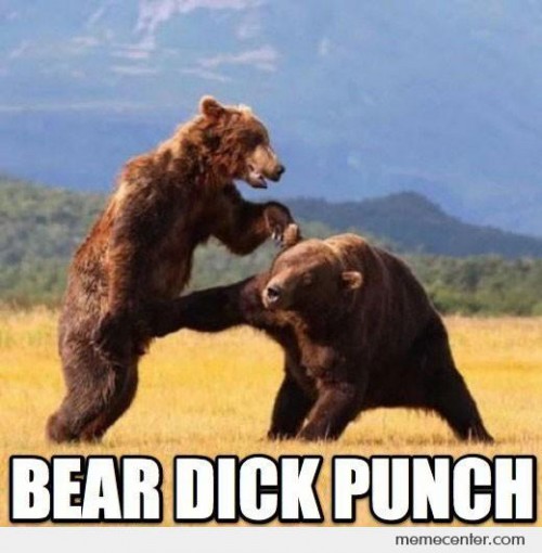 Funny picture of bear punching another bear in the dick