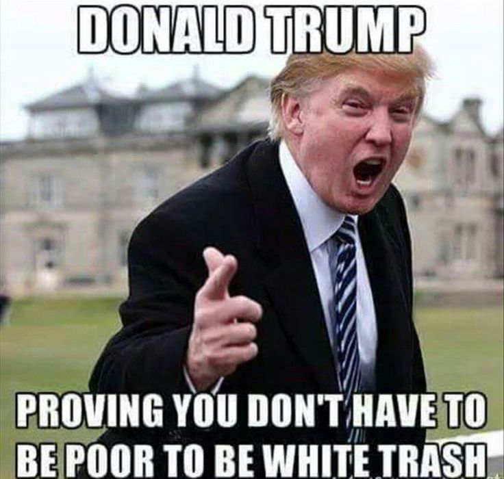 trump meme about anti donald trump memes - Donald Trump Proving You Don'T Have To Be Poor To Be White Trash