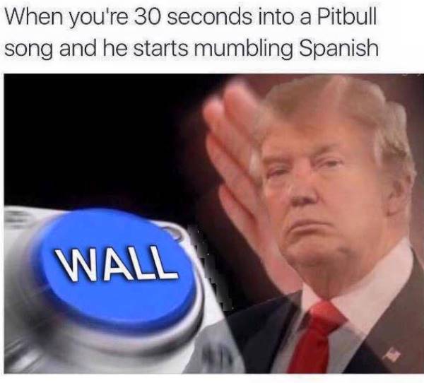 trump meme about wall memes - When you're 30 seconds into a Pitbull song and he starts mumbling Spanish Wall