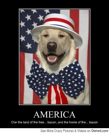 34 Patriotic Meme's & pic's To Make You Proud