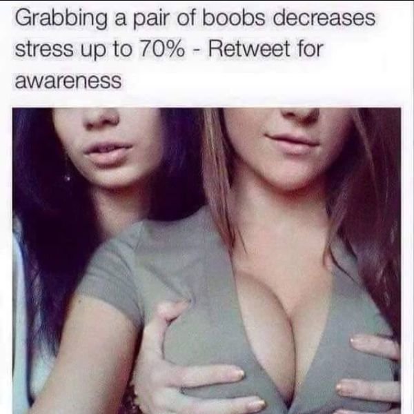 motorboating boobs - Grabbing a pair of boobs decreases stress up to 70% Retweet for awareness