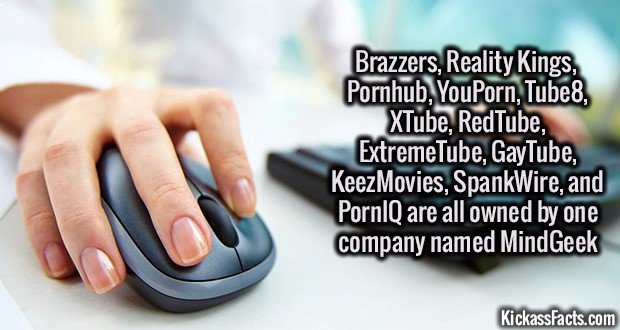 Brazzers, Reality Kings, Pornhub, YouPorn Tube8, XTube, RedTube, ExtremeTube, GayTube, KeezMovies, SpankWire, and PornIQ are all owned by one company named MindGeek KickassFacts.com