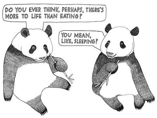 funny panda - Do You Ever Think, Perhaps, There'S More To Life Than Eating? You Mean, , Sleeping?