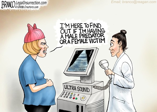 memes - cartoon manifest destiny - Branco LegalInsurrection.com Email branco.com Dv 2 018 Creators.com I'M Here To Find Out If Im Having A Male Predator Or A Female Victim Ultra Sound