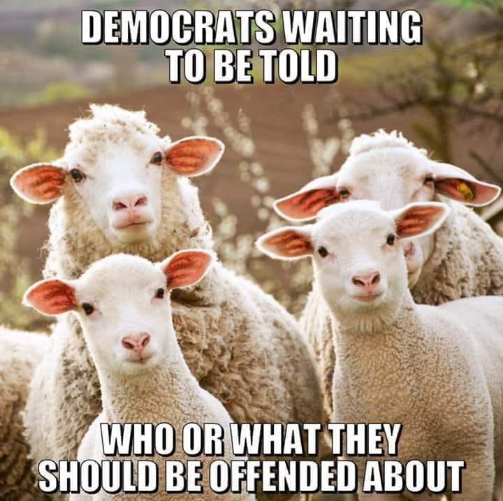 memes - sheep to the slaughter - Democrats Waiting To Be Told Who Or What They Should Be Offended About