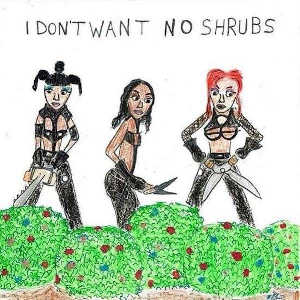 pun don t want no shrubs - I Don'T Want No Shrubs Yan nim