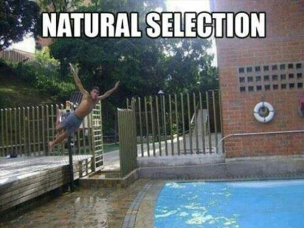 Natural Selection Is a Good Thing