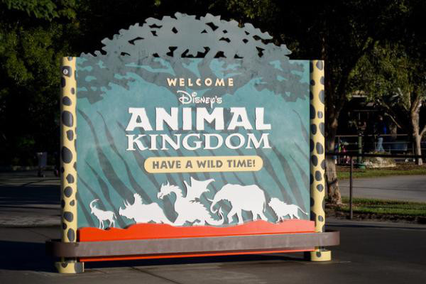 You can see a dragon on the signs for Animal Kingdom, and a dragon’s head hanging above the front gates. They were there to represent a scrapped area called Beastly Kingdom, which was going to be dedicated to mythical animals.