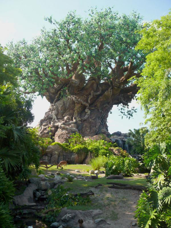 The 14-story “Tree of Life” in the middle of Animal Kingdom is actually an old oil rig.