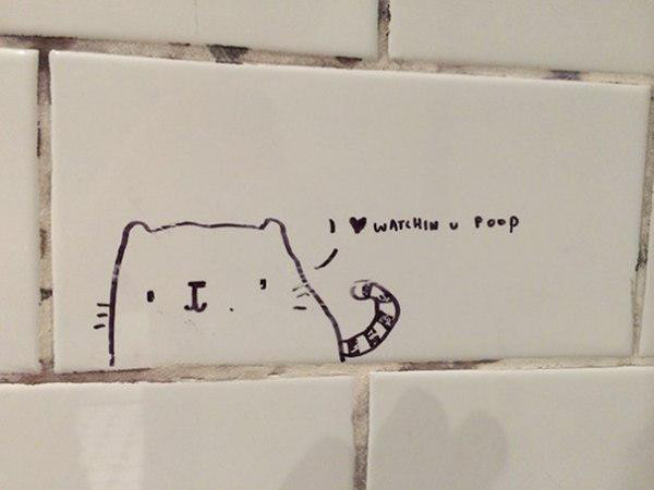 Bathroom Stall Inspiration