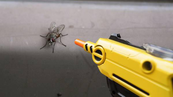 Bug-A-Salt:
This one began on IndieGoGo with a goal of $15,000.Lorenzo Maggiore wanted to produce a device to kill bugs in the most entertaining and non-toxic way possible: blasting them with salt with an assault weapon. He raised $577,636.