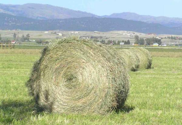 haystack meaning