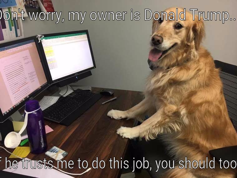 Donald left his favorite dog in charge