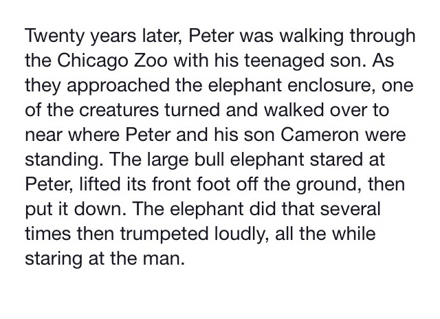 A Heartwarming Story Of A Man And An Elephant