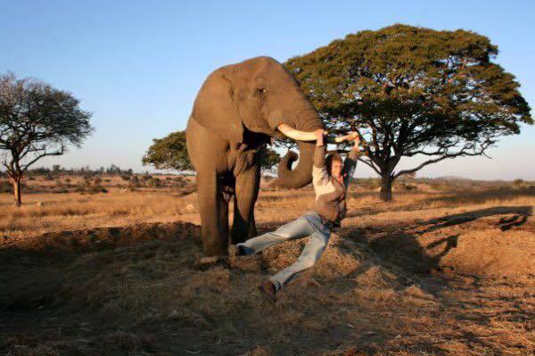 A Heartwarming Story Of A Man And An Elephant