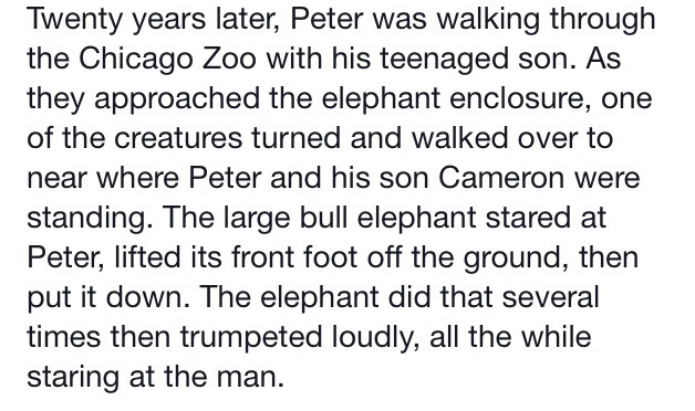 A Heartwarming Story Of A Man And An Elephant