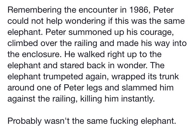 A Heartwarming Story Of A Man And An Elephant