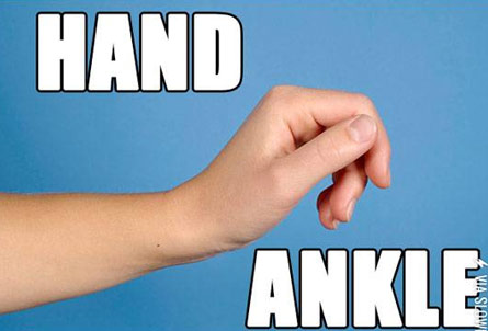 alternative names for things - Hand Ankle