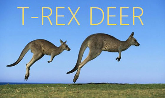 all animals - TRex Deer