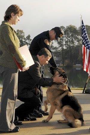 24 Heroic Military Dogs