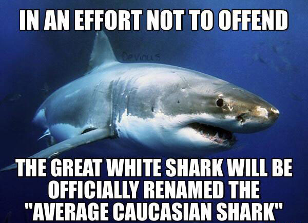 great white shark - In An Effort Not To Offend The Great White Shark Will Be Officially Renamed The "Average Caucasian Shark"