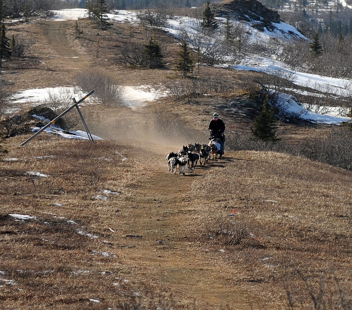 No Snow As The Start Of The Iditarod Approaches