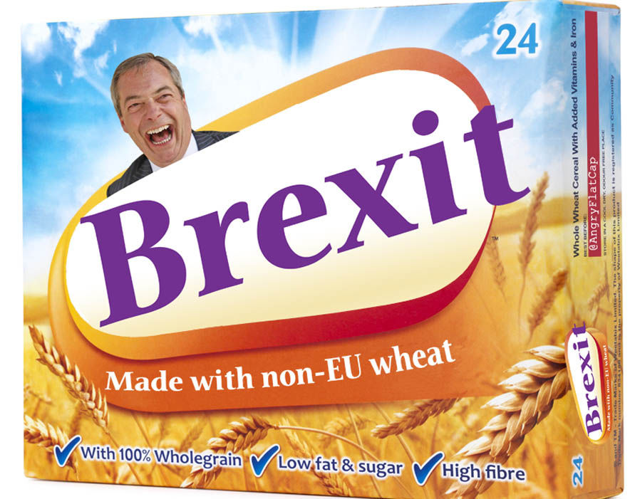 A Collection Of Some Funny Brexit Memes