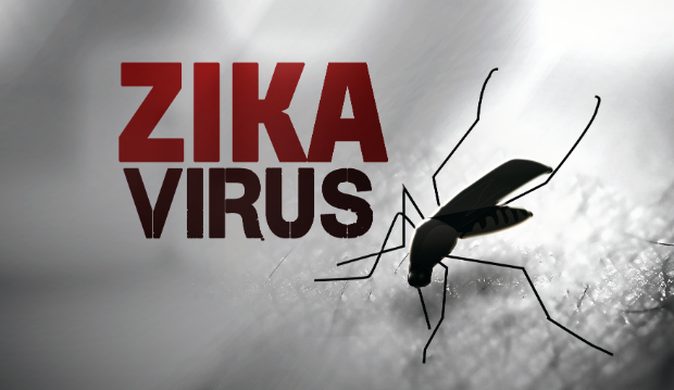 Zika Virus:

Many people have already heard about the scary impacts of Zika Virus. We have been hearing about deformed babies for months and we have been warned about not having children if you think you may have been affected. The World Health Organization, as well as the Olympic committee, have said Zika Virus does not pose a serious threat to the games. But so far that has not stopped many athletes from opting out of the games all-together. 
