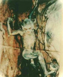 Creepy photo of strange creature in a cave