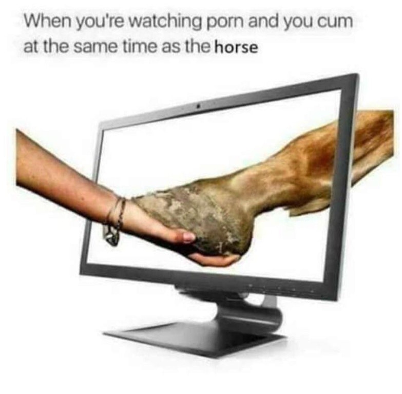 you re watching porn and you cum - When you're watching porn and you cum at the same time as the horse