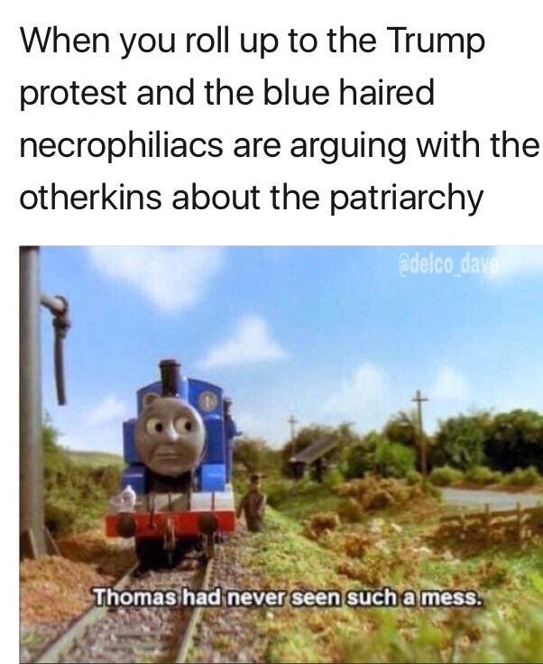thomas had never seen such a mess - When you roll up to the Trump protest and the blue haired necrophiliacs are arguing with the otherkins about the patriarchy adelco_dave Thomas had never seen such a mess.