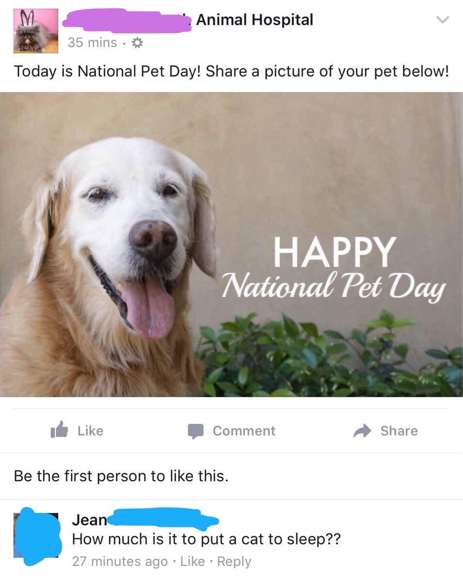 Animal Hospital posts cute picture of a dog and warm wishes for National Pet Day and the first comment is a question on how much they charge to kill a cat.
