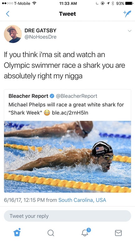 Funny tweet about how much fun it is to watch Michael Phelps race a shark.