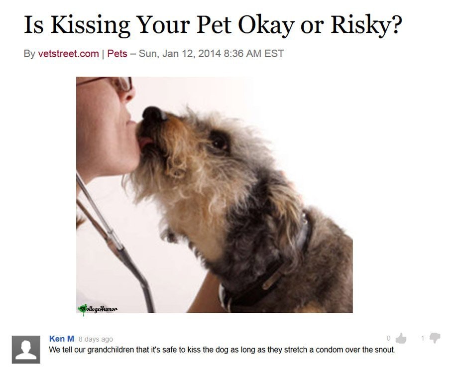 ken m dog - Is Kissing Your Pet Okay or Risky? By vetstreet.com | Pets Sun, Est TollegeHumor 1 Ken M 8 days ago 0 We tell our grandchildren that it's safe to kiss the dog as long as they stretch a condom over the snout