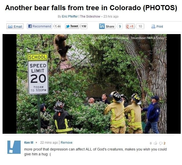 bears in steamboat springs colorado - Another bear falls from tree in Colorado Photos By Eric Pfeiffer | The Sideshow 23 hrs ago M Email Recommend Tweet 132 in 9 g 1 10 Print Tesy Matt Stensland Steamboat Pilot & Today School Speed Limit 20 700 Am To 500P