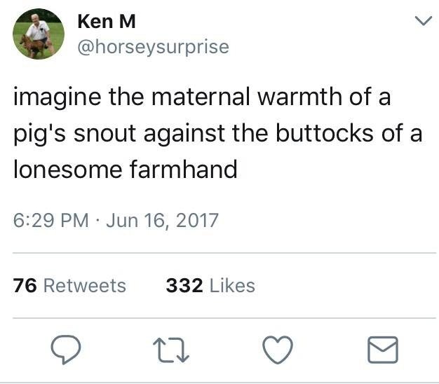 angle - Ken M imagine the maternal warmth of a pig's snout against the buttocks of a lonesome farmhand 76 332