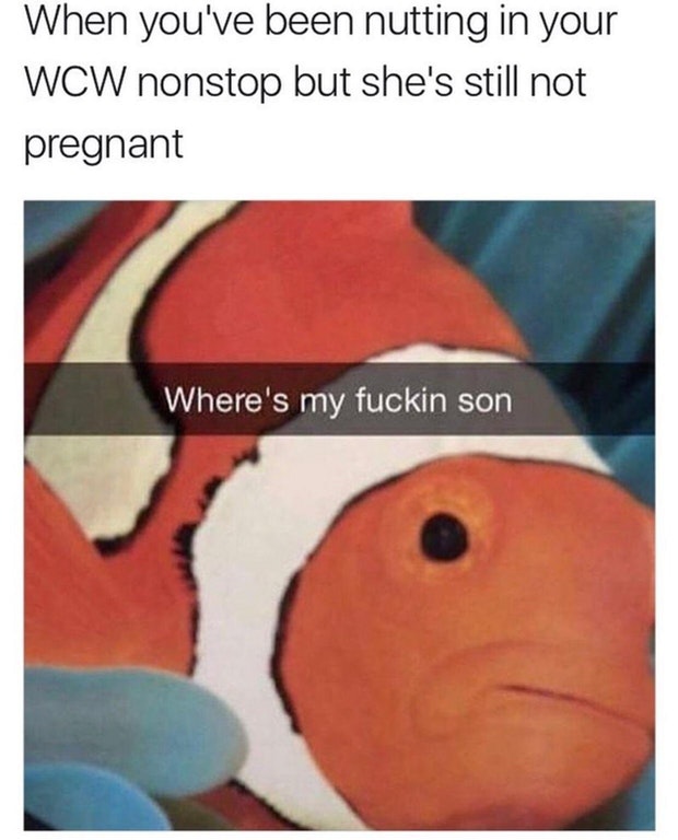 meme stream - nemo memes - When you've been nutting in your Wcw nonstop but she's still not pregnant Where's my fuckin son