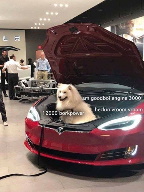 meme stream - goodboi engine 3000 - am goodboi engine 3000 heckin vroom vroom 12000 borkpower