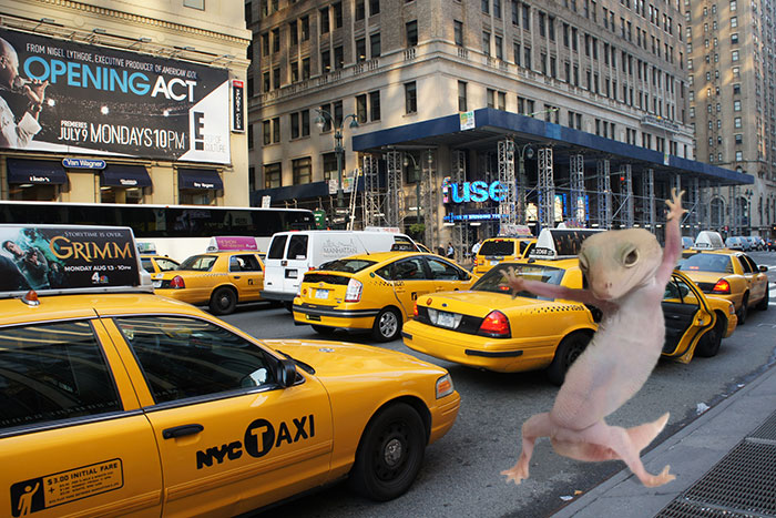 Dancing Gecko Inspires An Epic Photoshop Battle