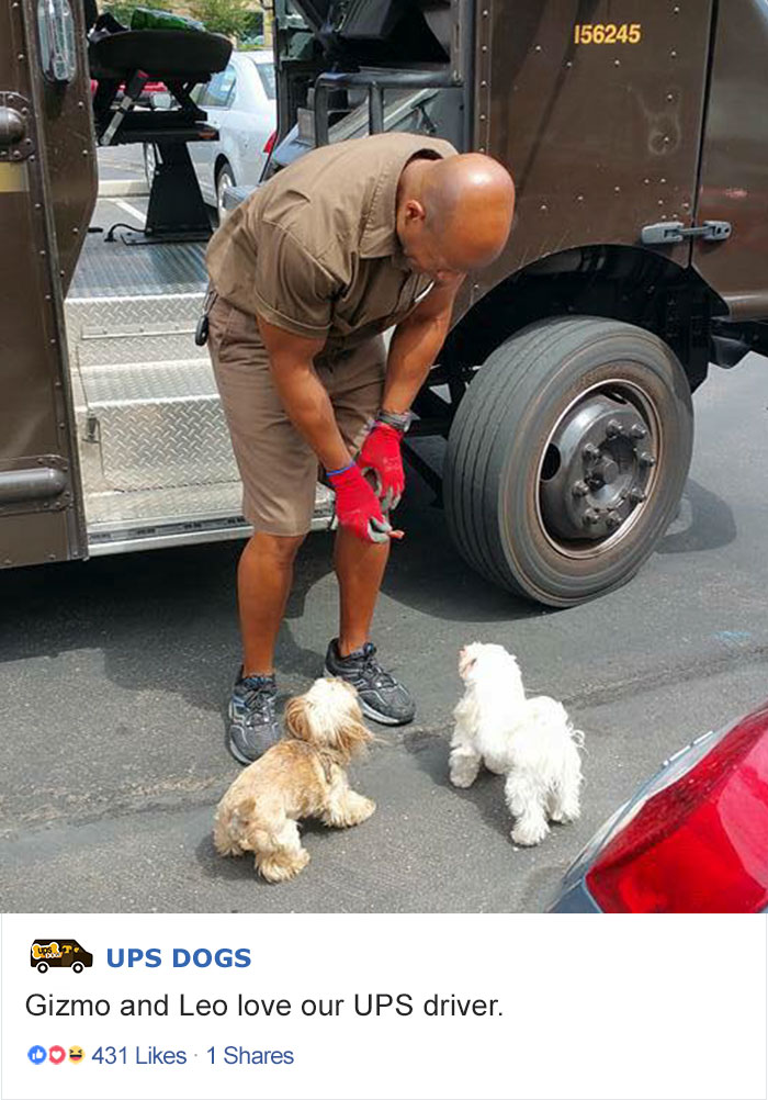 ups dogs facebook - 156245 map Ups Dogs Gizmo and Leo love our Ups driver. 00 431 1