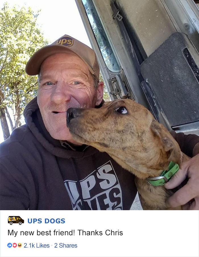 ups dog post instagram - Dp To Ups Dogs My new best friend! Thanks Chris 20 2
