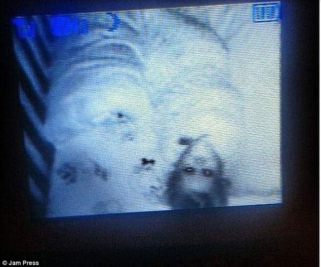 15 Scary Babies Caught On Their Crib Monitor